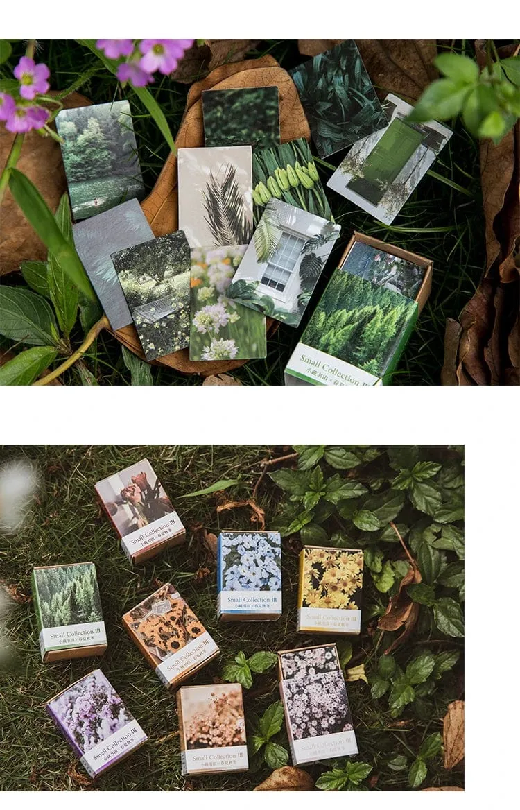 100 stücke Frühling Sommer Herbst Winter Kraftpapier Mini Grußkarte INS Blume Postkarte Briefumschlag Dekoration LOMO Karten
