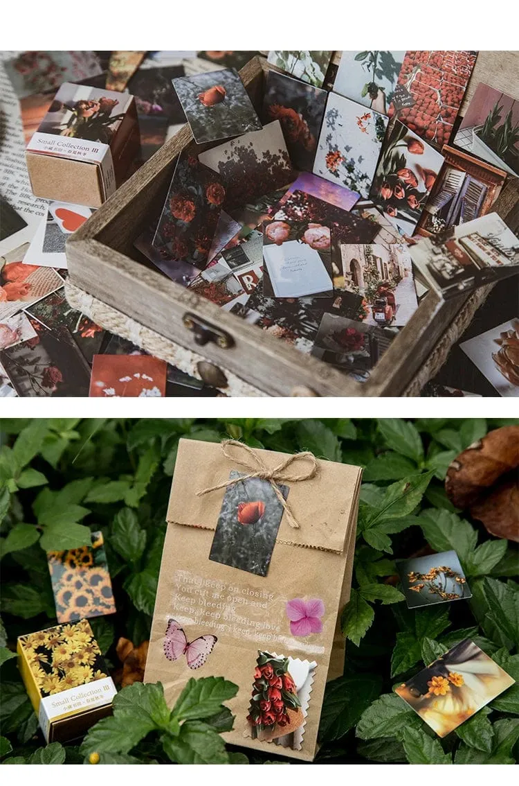 100 stücke Frühling Sommer Herbst Winter Kraftpapier Mini Grußkarte INS Blume Postkarte Briefumschlag Dekoration LOMO Karten