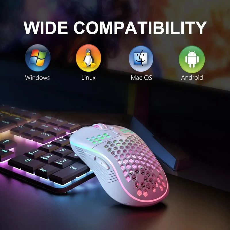 2.4G Kabellose Gaming-Maus, RGB-Beleuchtung, Lademaus mit einstellbarer DPI, ergonomisches Wabendesign für Desktop-Laptop