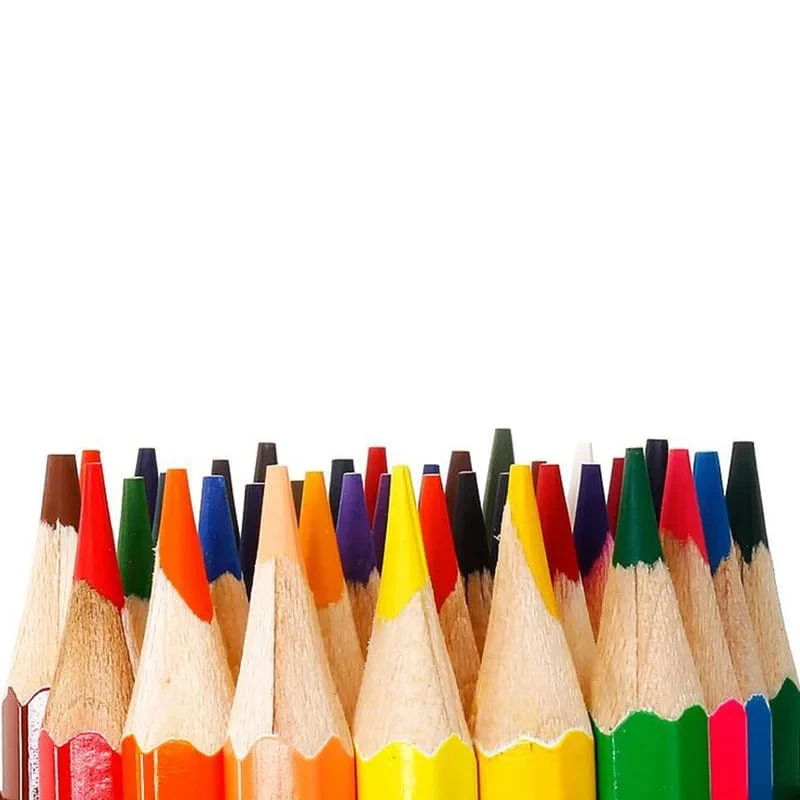 Naturgeschichte Farbstifte zum Zeichnen 12/18 verschiedene Farben Bleistiftset Buntstifte Schreibwaren Büro Schulbedarf Lapices