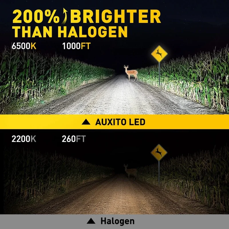 AUXITO H1 LED-Scheinwerfer H1 LED Canbus-Birnen Unpolarität für Ford Focus Fiesta Skoda Lüfterlos 6500K Superhelle H1-Lampe Nebelscheinwerfer