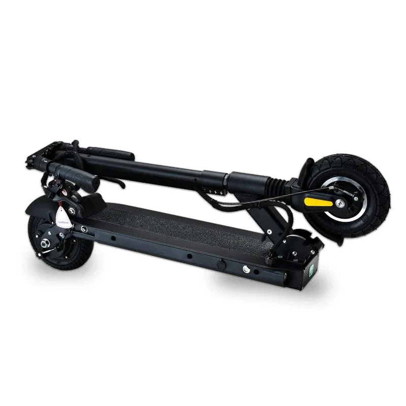 RUIMA mini4 PRO Upgrade BLDC HUB starker Elektroroller leistungsstarker Speedway Mini Pro Scooter wasserdichte Version