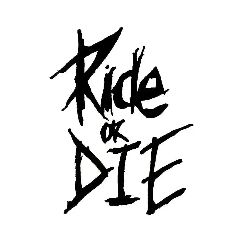 1/2/3 Stück MTB Fahrradrahmenaufkleber Ride or Die Oberrohraufkleber Fahrradaufkleber Dekorative Rahmenaufkleber Fahrradaufkleber Fahrradaufkleber