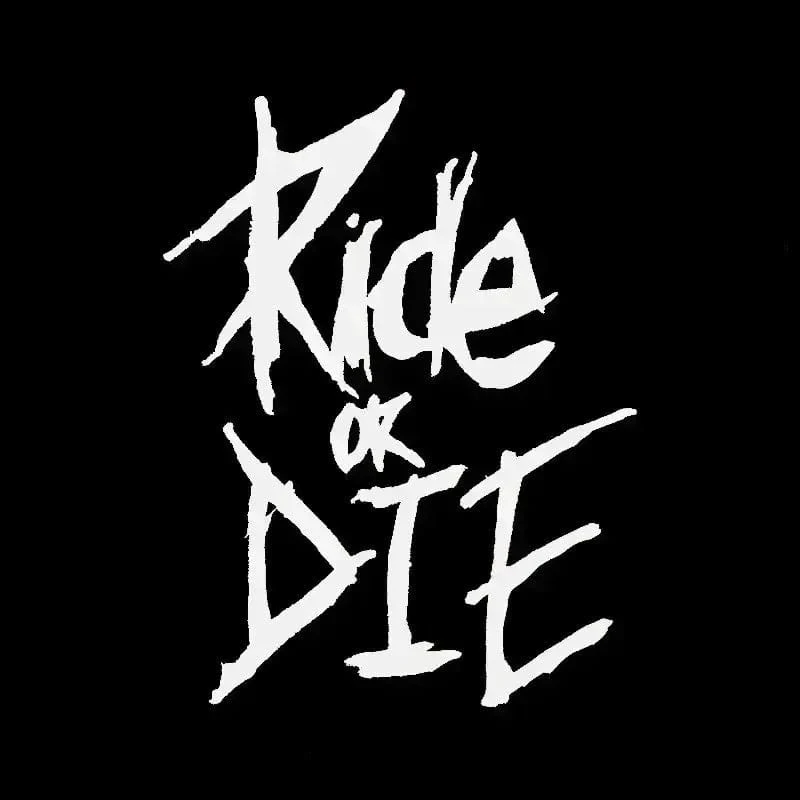 1/2/3 Stück MTB Fahrradrahmenaufkleber Ride or Die Oberrohraufkleber Fahrradaufkleber Dekorative Rahmenaufkleber Fahrradaufkleber Fahrradaufkleber