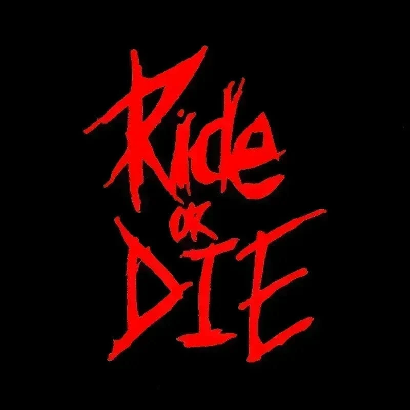 1/2/3 Stück MTB Fahrradrahmenaufkleber Ride or Die Oberrohraufkleber Fahrradaufkleber Dekorative Rahmenaufkleber Fahrradaufkleber Fahrradaufkleber