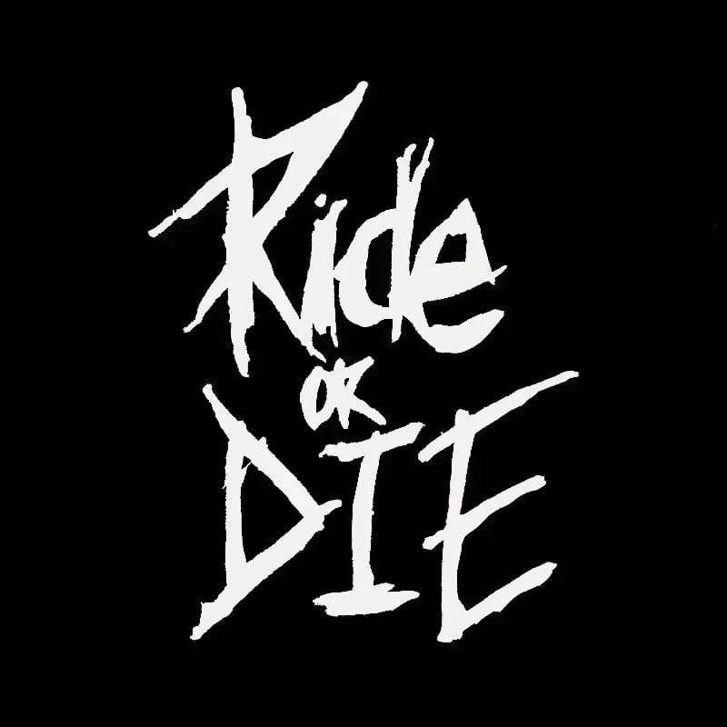 1/2/3 Stück MTB Fahrradrahmenaufkleber Ride or Die Oberrohraufkleber Fahrradaufkleber Dekorative Rahmenaufkleber Fahrradaufkleber Fahrradaufkleber
