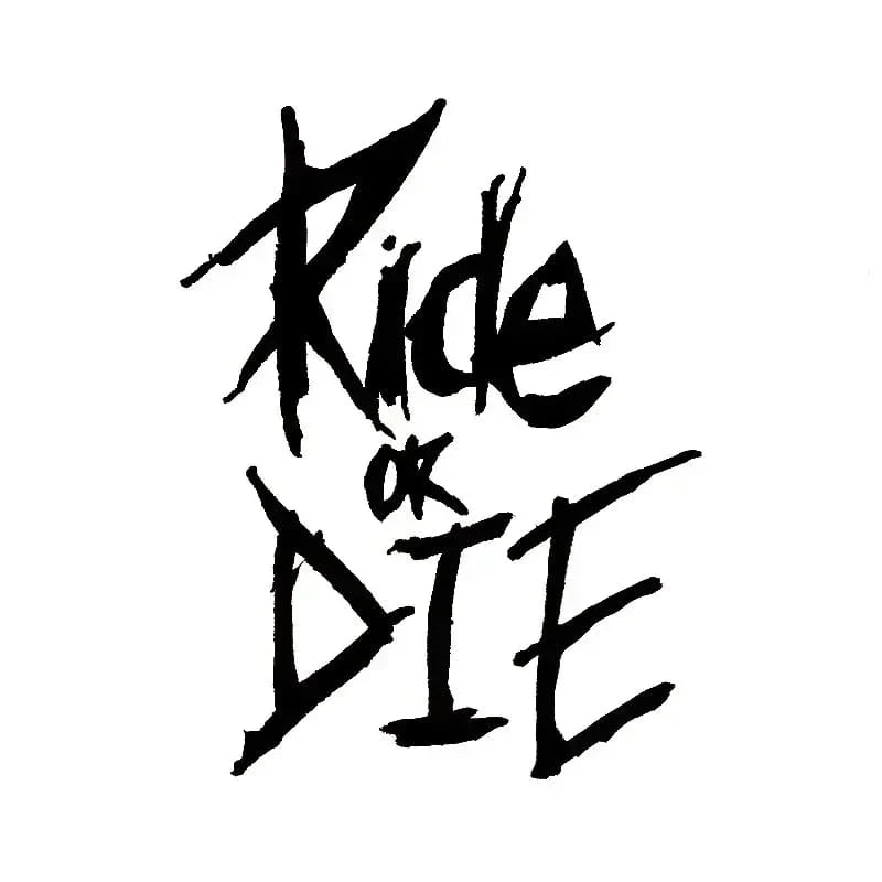 1/2/3 Stück MTB Fahrradrahmenaufkleber Ride or Die Oberrohraufkleber Fahrradaufkleber Dekorative Rahmenaufkleber Fahrradaufkleber Fahrradaufkleber
