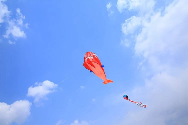 Kostenloser Versand großer Delphin-Drachen, der weiche Drachen fliegt, Linie Ripstop-Nylon, Outdoor-Spielzeug, Oktopus-Drachenfabrik, Alien, aufblasbare Drachen
