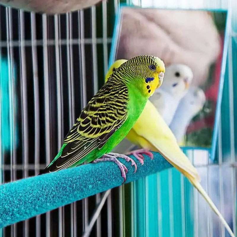 Vogel Klaue Schnabel Schleifen Bar Stehen Stick Papagei Station Pole Vogel Liefert Papagei Schleifen Stehen Krallen Käfig Zubehör
