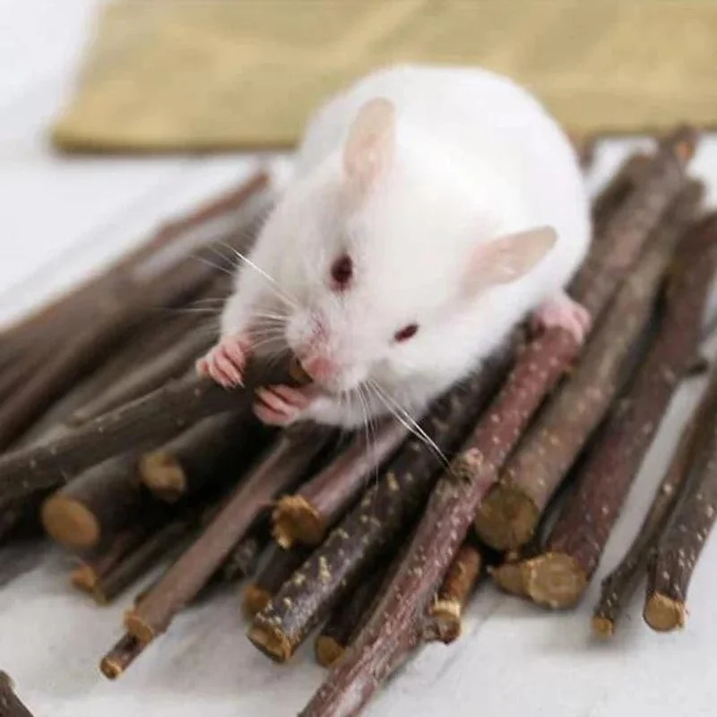 Professionelle Hamster Kaninchen Zähne Schleifen Apfelbaum Stick Mineralien Molaren Stein Spielzeug für Chinchilla Hamster PetToys Zubehör