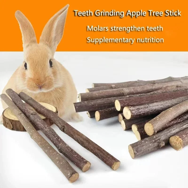 Professionelle Hamster Kaninchen Zähne Schleifen Apfelbaum Stick Mineralien Molaren Stein Spielzeug für Chinchilla Hamster PetToys Zubehör