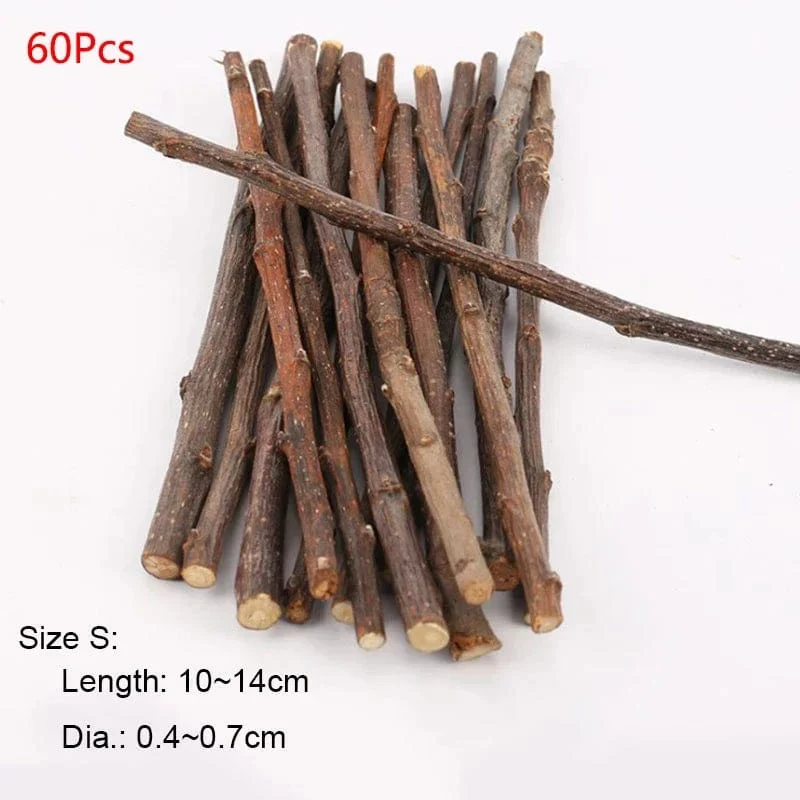 Professionelle Hamster Kaninchen Zähne Schleifen Apfelbaum Stick Mineralien Molaren Stein Spielzeug für Chinchilla Hamster PetToys Zubehör
