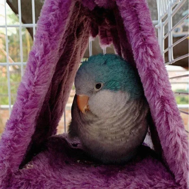 Haustier Vogel Papagei Käfige Warme Hängematte Hütte Zelt Mode Bett Hängende Höhle für Schlafen und Schlüpfen Käfig Dekoration