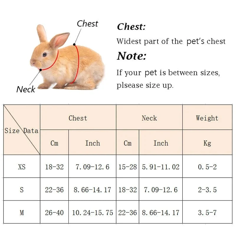 Niedliches Kaninchengeschirr und Leine mit Engelsflügeln für Katzen, Kaninchen, personalisierte Kaninchengeschirre, Hasenzubehör, Hamsterkleidung