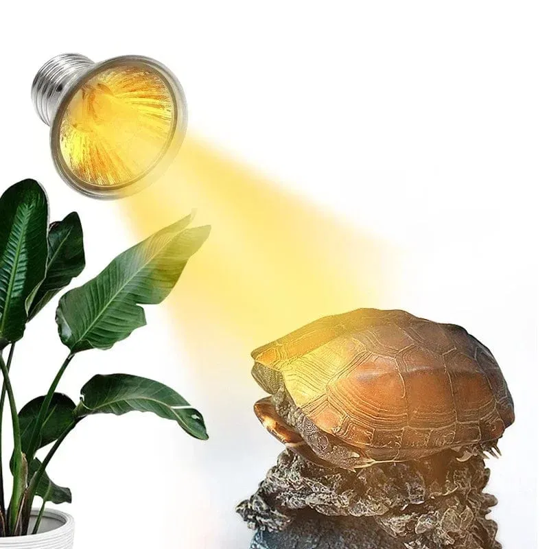 25/50/75 W Reptilienlicht UVA + UVB 3.0 120 V-220 V Haustier-Heizbirne Schildkröten-Aalbirne Amphibien-Eidechse Temperaturregelung