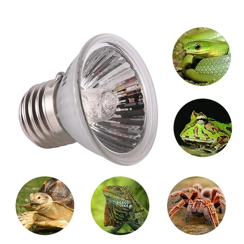 25/50/75 W Reptilienlicht UVA + UVB 3.0 120 V-220 V Haustier-Heizbirne Schildkröten-Aalbirne Amphibien-Eidechse Temperaturregelung