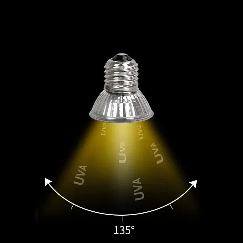 25/50/75 W Reptilienlicht UVA + UVB 3.0 120 V-220 V Haustier-Heizbirne Schildkröten-Aalbirne Amphibien-Eidechse Temperaturregelung