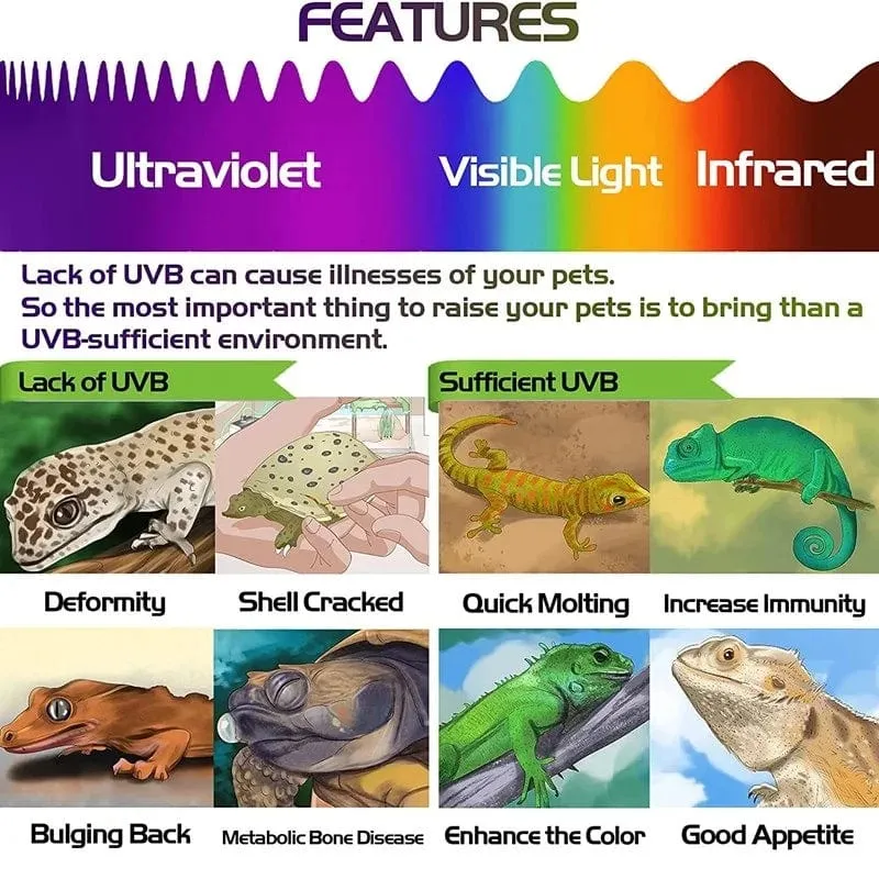 2 Stück fluoreszierende Farbwechselkarte, Reptilienbeleuchtung, UVA- und UVB-Tester, Testkarte zur schnellen Erkennung von UVB-Amphibienlampen