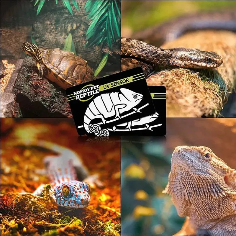 2 Stück fluoreszierende Farbwechselkarte, Reptilienbeleuchtung, UVA- und UVB-Tester, Testkarte zur schnellen Erkennung von UVB-Amphibienlampen
