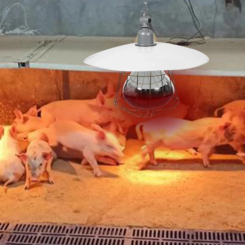 250 W Vieh Inkubator Box Heizung Lampe Kleine Schwein Käfig Haustier Eidechse Wärmer Licht Haustier Wärme Lampe 30x20x10 cm Zufällige Farbe
