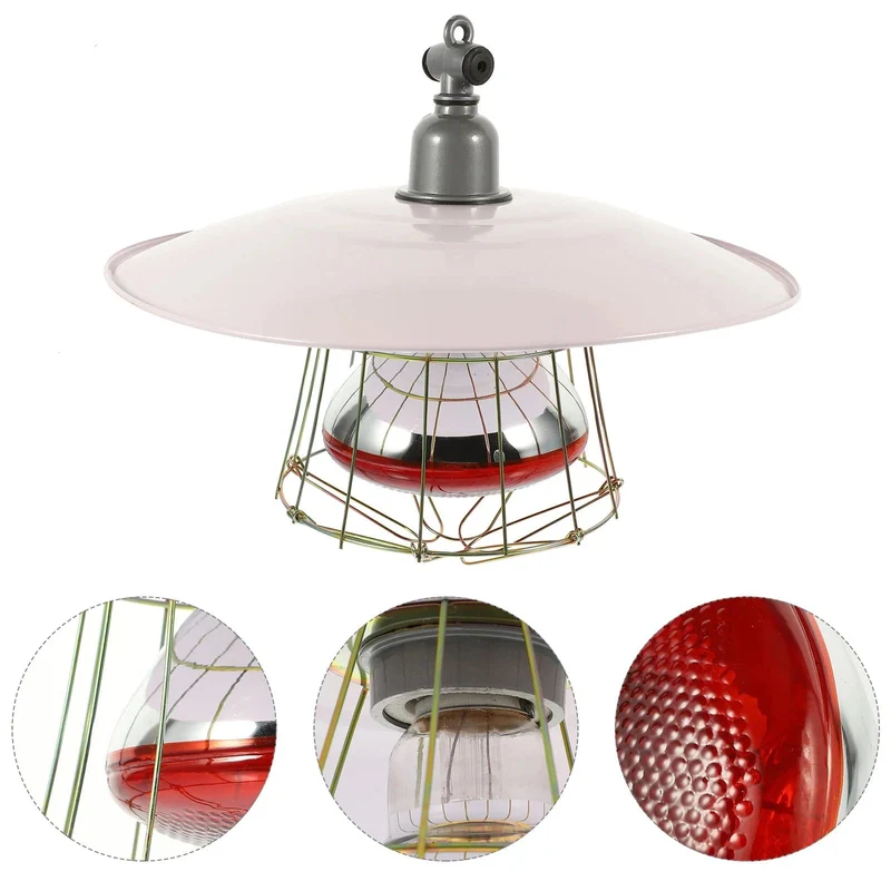 250 W Vieh Inkubator Box Heizung Lampe Kleine Schwein Käfig Haustier Eidechse Wärmer Licht Haustier Wärme Lampe 30x20x10 cm Zufällige Farbe