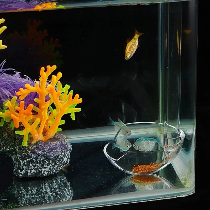 Acryl Feeder Tube Dish Transparent Aquarium Garnelen Schnecke Futter Feeder Bowl Fütterung Aquarium Zubehör Garnelen Feeder