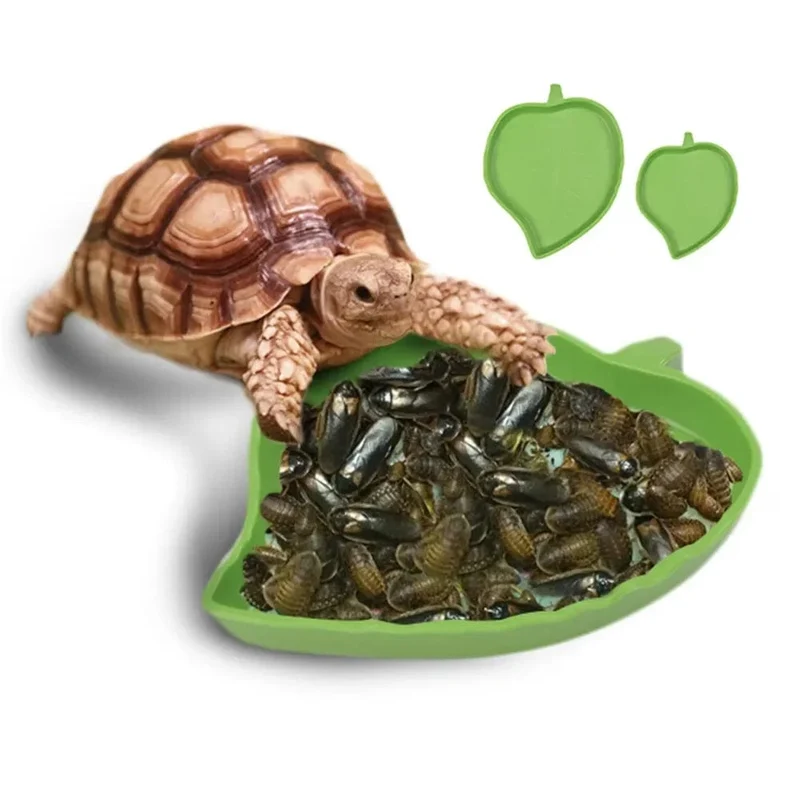 Amphibien-Reptilien-Futterstation, Kunststoff-Reptilien-Terrarium-Futterbecken, Schildkröten-Eidechsen-Raupenschale, Wasserbrunnen für Schildkröten