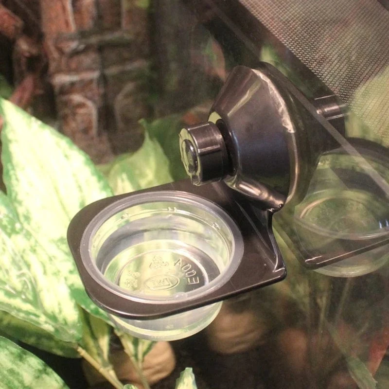 Reptilien-Futterspender zum Aufhängen, festes Futter, Wasserbecken für Terrarien, Insekten, Spinnen, Reptilien, Schlangen, Geckos, Heimtierbedarf