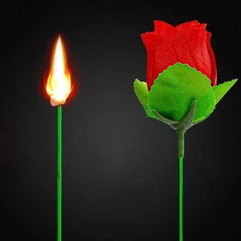 Fackel zu Blume, Feuer, Zaubertricks, Flammenveränderung in Rose, professioneller Zauberer, Witz, Illusion, Magia-Requisiten