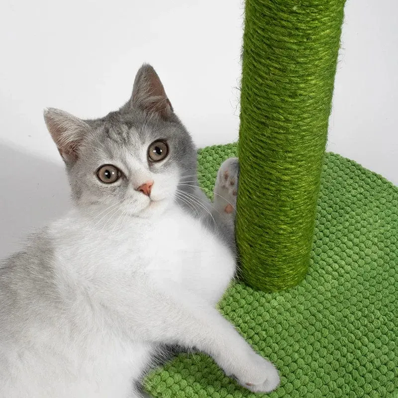 Sisal Katzenkratzbaum, Krallenschärfer, Kaktus, Katzenkratzbrett, Katzenkratzer, Katzenkratzbaum, Haustiermöbel, Katzenbaumpfosten