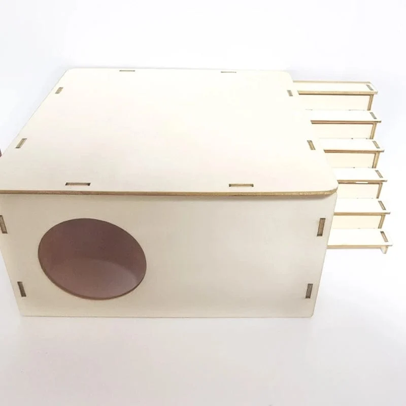 Dawf Hamster-Holzhaus, abnehmbare Dachkletterleiter für Sugar Glider