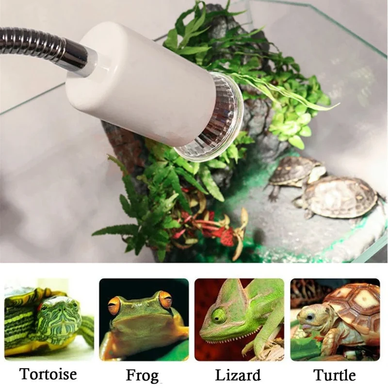 UVA+UVB 3.0 Reptilienlampen-Set, aufsteckbare Lampenfassung, Glühbirne, Thermometer, Hygrometer, Schildkröten, Schildkröten, Eidechsen, Sonnenlicht, Wärmelicht