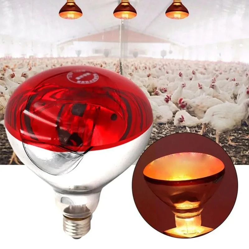 Farm Thermal Light Preservation Reptile Habitat Lights Hühner-Infrarot-Heizlicht-Infrarot-Lampe, Lukenheizung, Küken-Lampe