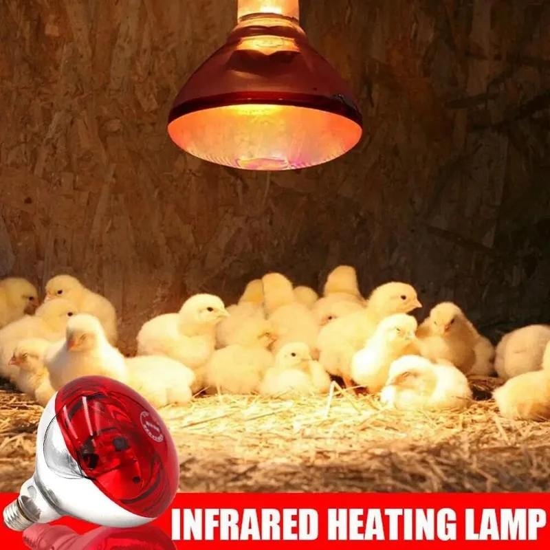 Farm Thermal Light Preservation Reptile Habitat Lights Hühner-Infrarot-Heizlicht-Infrarot-Lampe, Lukenheizung, Küken-Lampe