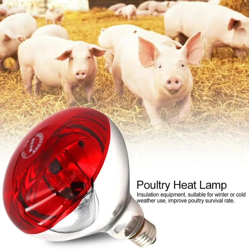 Farm Thermal Light Preservation Reptile Habitat Lights Hühner-Infrarot-Heizlicht-Infrarot-Lampe, Lukenheizung, Küken-Lampe