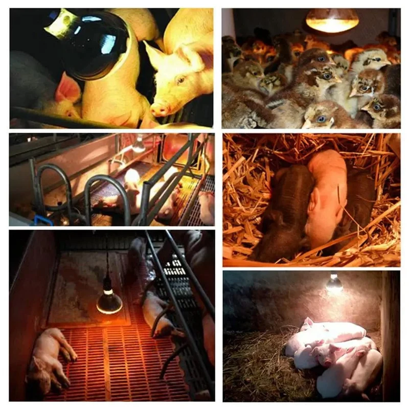 Farm Thermal Light Preservation Reptile Habitat Lights Hühner-Infrarot-Heizlicht-Infrarot-Lampe, Lukenheizung, Küken-Lampe