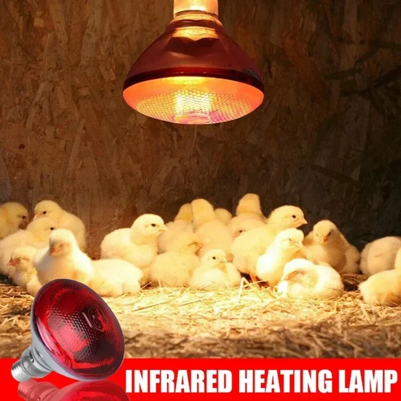 220V Geflügel Heizbirne 100/150/200/275W Infrarot-Isolierheizung für Reptilien Pflanzen Amphibien Haustiere Vieh