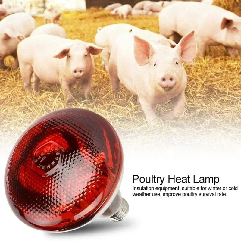 220V Geflügel Heizbirne 100/150/200/275W Infrarot-Isolierheizung für Reptilien Pflanzen Amphibien Haustiere Vieh