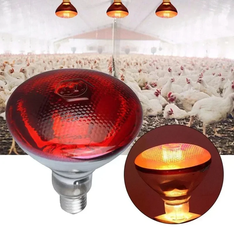 220V Geflügel Heizbirne 100/150/200/275W Infrarot-Isolierheizung für Reptilien Pflanzen Amphibien Haustiere Vieh