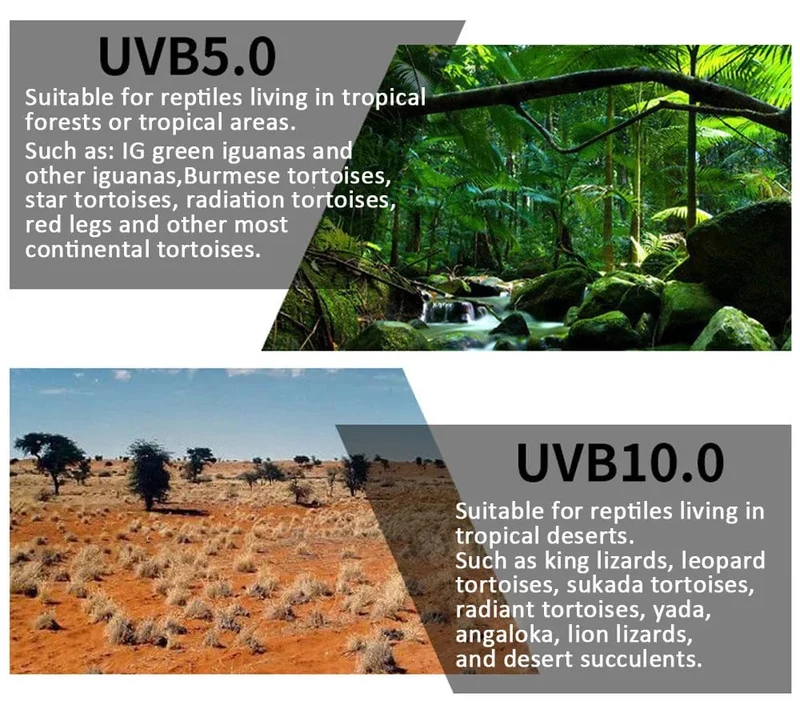 UVB 5.0 UVB10.0 Reptilienlampe Schildkröte UVB-Glühbirne Eidechse Schlange Lguanas Wärme Kalziumlampe Licht Energiesparend E27 13W 26W 110V 220V