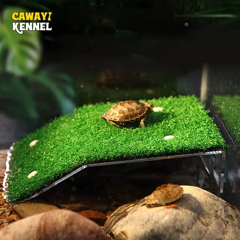 Aquarium Rasen Schildkröte Sonnenterrasse Aquarium Schildkröte Kletterplattform Saugnapf Schildkröte Kletterplattform Sonnentrocknungsplattform9159