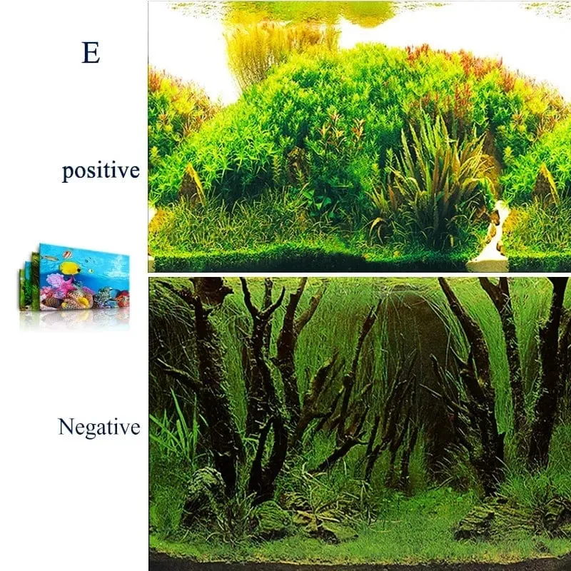 3d Marine Hintergrund für Aquarium Dekorationen Aufkleber & Poster Waren Dekoration Fisch Tanks und Aquarien Zubehör Aquascape