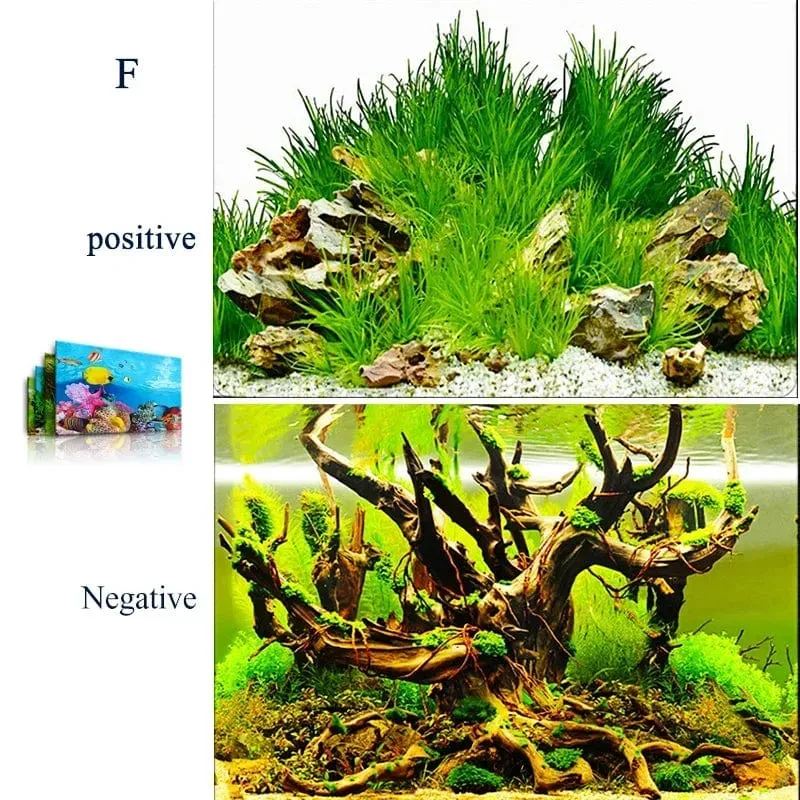 3d Marine Hintergrund für Aquarium Dekorationen Aufkleber & Poster Waren Dekoration Fisch Tanks und Aquarien Zubehör Aquascape