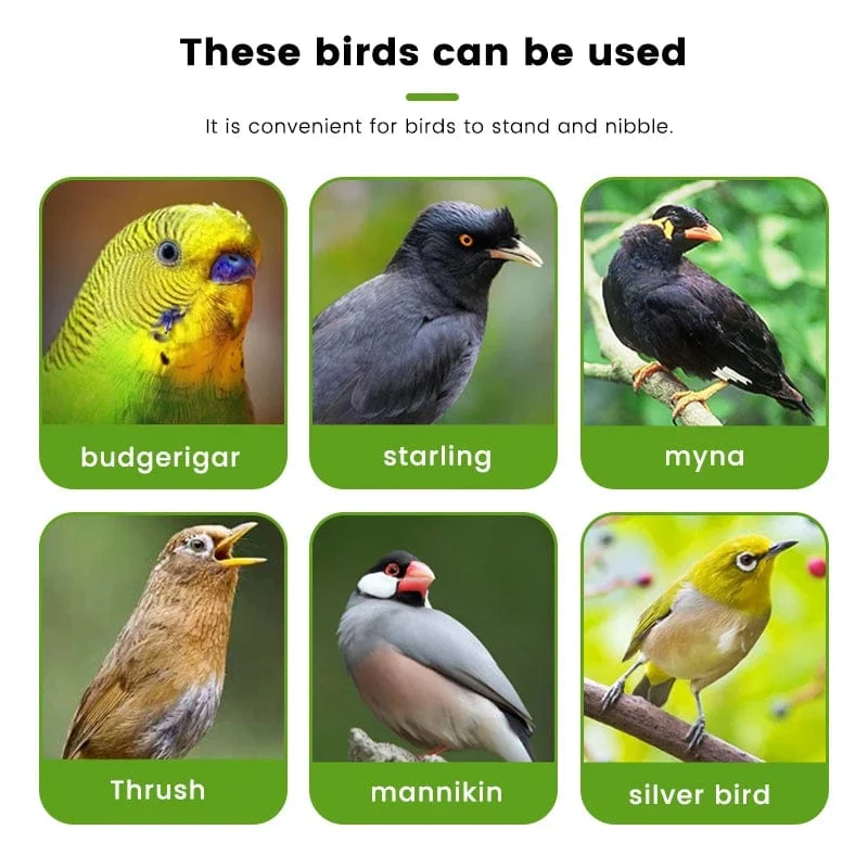 Futterspender für Papageien, Vogel-Sitzgestell, lustiger Vogelkäfig-Futterspender, Fütterungsspielzeug für Papageien, Kunststoff, Futterzubehör für Haustiere, Fütterungsspielzeug für Papageien