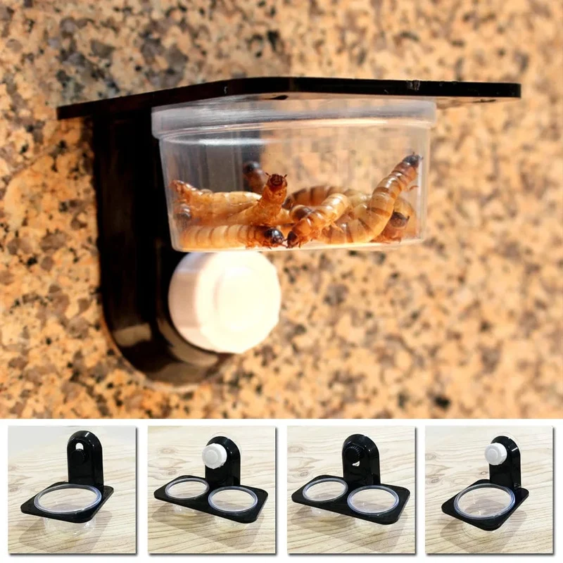 1 stücke ABS Reptil Tank Lebensmittel Wasser Fütterung Schüssel Insekten Spinne Ameisen Nest Schlange Gecko Terrarium Zucht Feeder Box Haustiere liefert