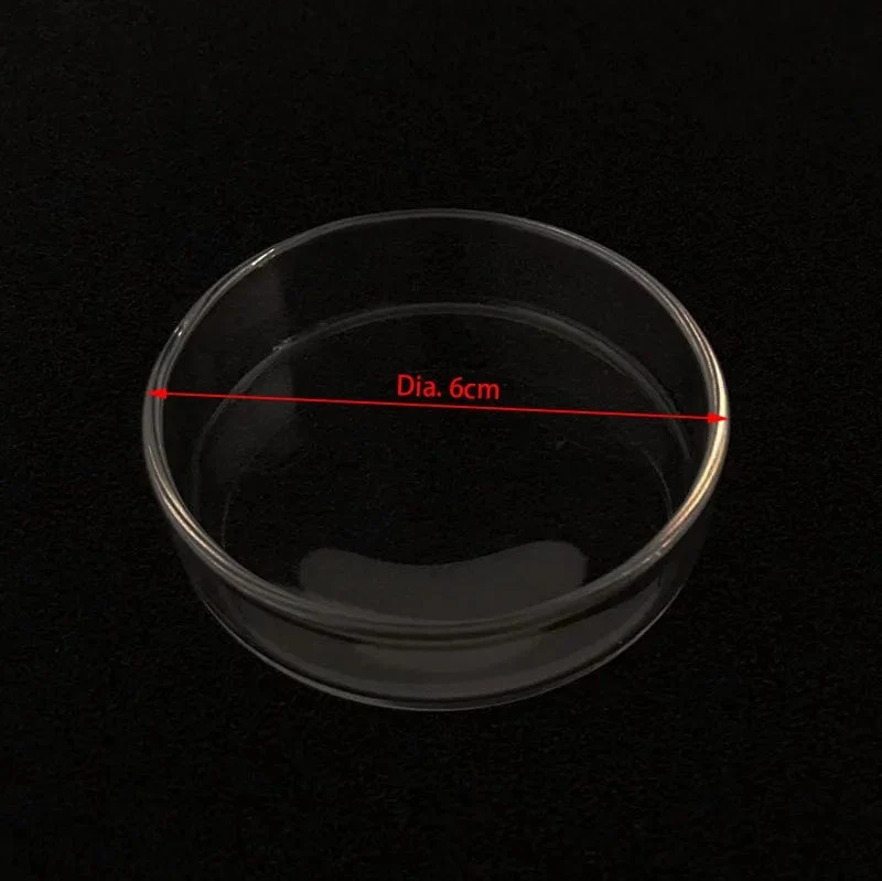 Transparenter, quadratischer, 6 cm großer Aquarium-Garnelenfutter-Futterspender aus Glas, schwimmender Boden-Futterspender für Fische, Garnelen, Futternapf