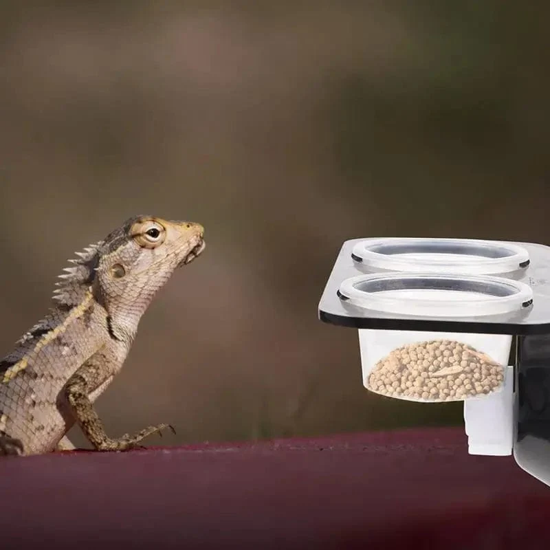 Reptilien-Tank-Futterspender, Saugnapf, Reptilien-Futterspender, Futternäpfe, Futter- und Wassernäpfe, Terrarium, Zucht-Futterspender, Box, Haustierbedarf