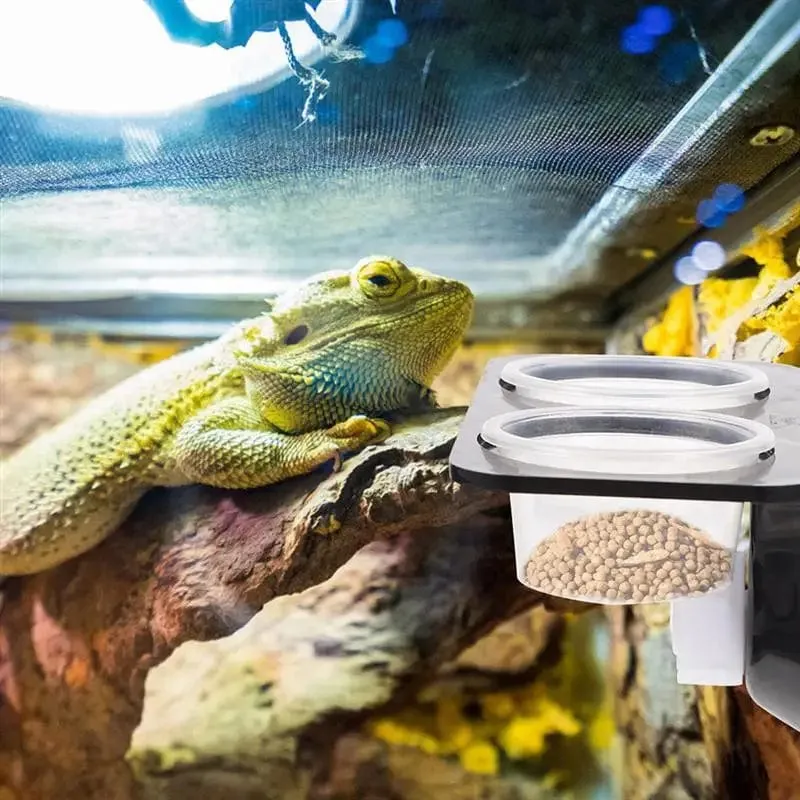 Reptilien-Tank-Futterspender, Saugnapf, Reptilien-Futterspender, Futternäpfe, Futter- und Wassernäpfe, Terrarium, Zucht-Futterspender, Box, Haustierbedarf