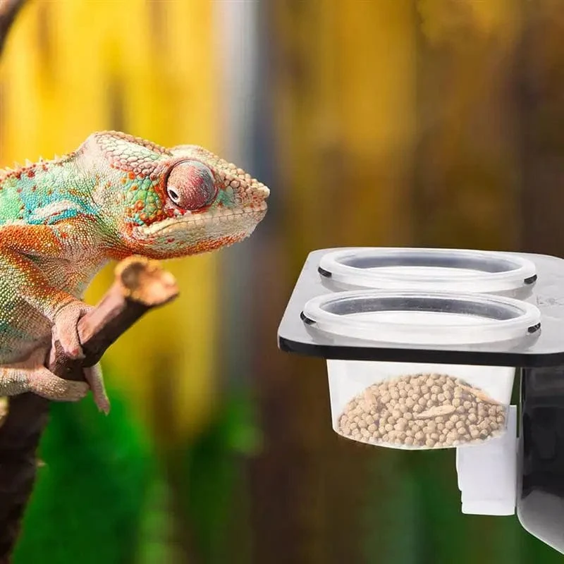 Reptilien-Tank-Futterspender, Saugnapf, Reptilien-Futterspender, Futternäpfe, Futter- und Wassernäpfe, Terrarium, Zucht-Futterspender, Box, Haustierbedarf