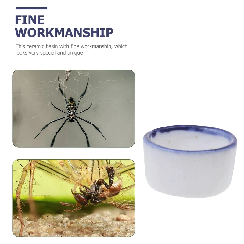 12 Stück Becken, kleines Terrarium, Springspinne, Gehege, Vogelspinne, der Zaun, Tausendfüßler, Keramik, Mini-Wasserbecken, Reptilienbaby